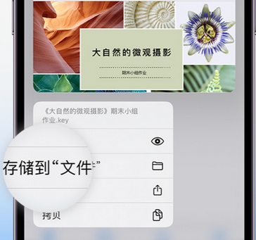 武城apple维修中心分享iPhone文件应用中存储和找到下载文件