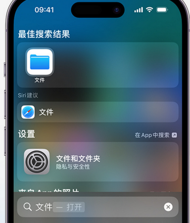 武城apple维修中心分享iPhone文件应用中存储和找到下载文件