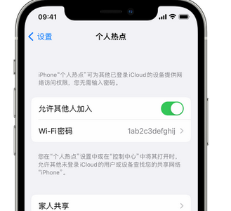 武城apple服务站点分享iPhone上个人热点丢失了怎么办