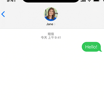 武城apple维修iPhone上无法正常发送iMessage信息