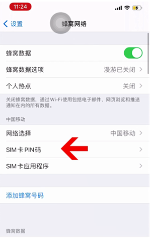 武城苹果14维修网分享如何给iPhone14的SIM卡设置密码 