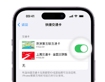 武城apple维修点分享iPhone上更换Apple Pay快捷交通卡手绘卡面 