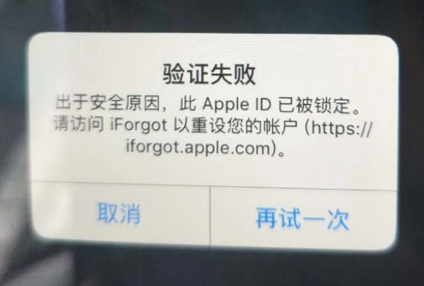 武城iPhone维修分享iPhone上正常登录或使用AppleID怎么办 