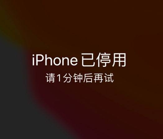 武城苹果手机维修分享:iPhone 显示“不可用”或“已停用”怎么办？还能保留数据吗？ 