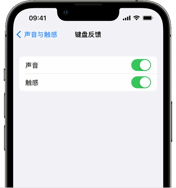 武城苹果14维修店分享如何在 iPhone 14 机型中使用触感键盘 