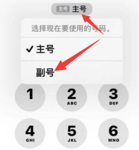 武城苹果14维修店分享iPhone 14 Pro Max使用副卡打电话的方法 