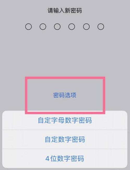 武城苹果14维修分享iPhone 14plus设置密码的方法 