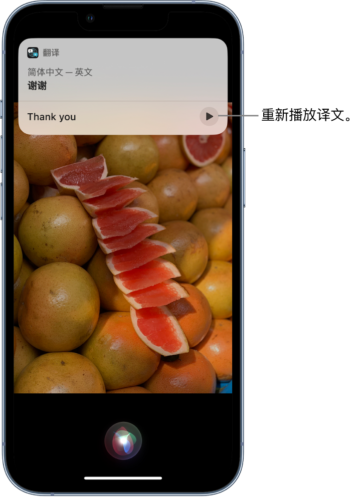 武城苹果14维修分享 iPhone 14 机型中使用 Siri：了解 Siri 能帮你做什么 