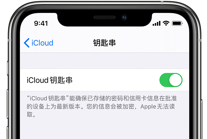 武城苹果手机维修分享在 iPhone 上开启 iCloud 钥匙串之后会储存哪些信息 