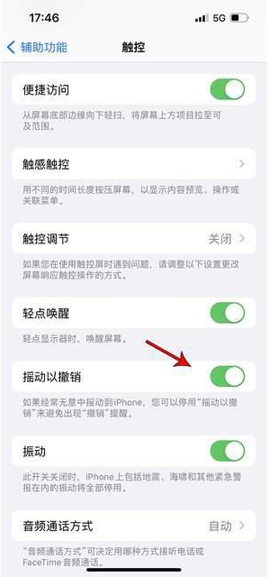 武城苹果手机维修分享iPhone手机如何设置摇一摇删除文字 